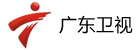广东卫视广告投放